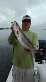 St. Bernard Report Photo 2