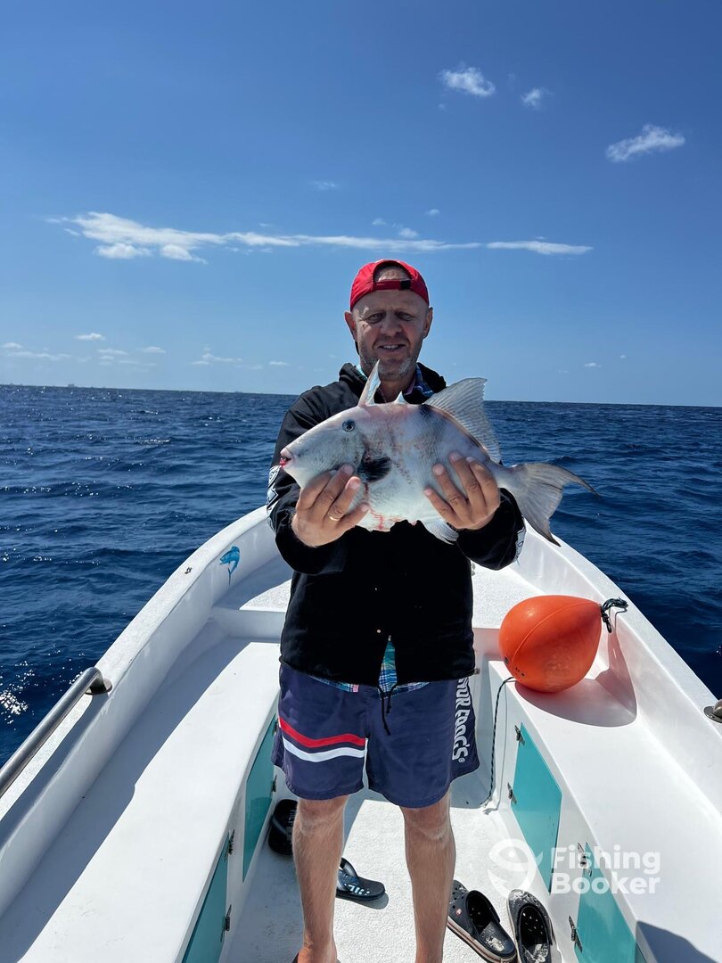 Playa Del Carmen Report Photo 0