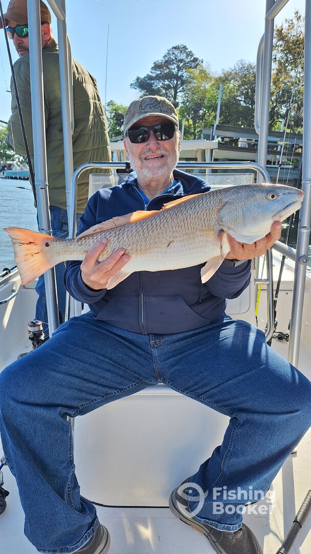 Hilton Head Island Report Photo 0