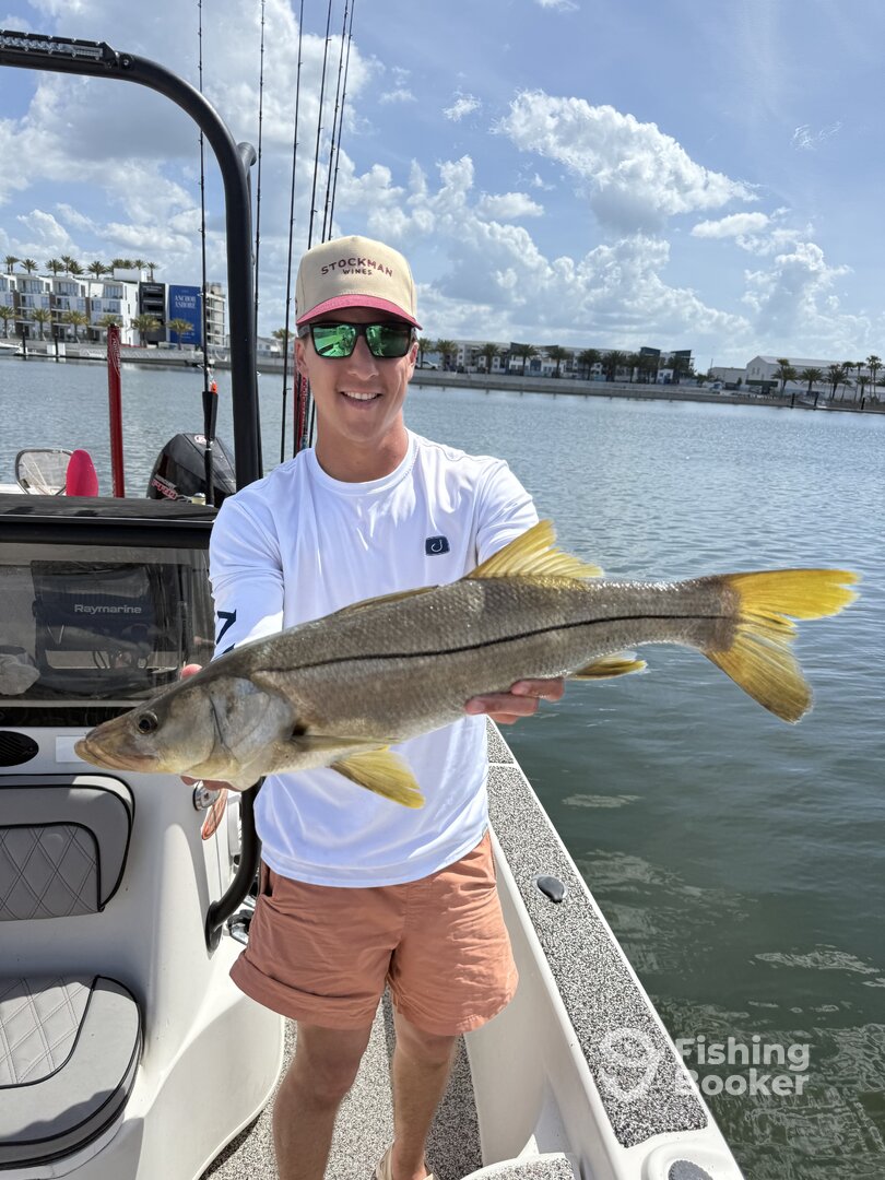 Tampa Report Photo 0