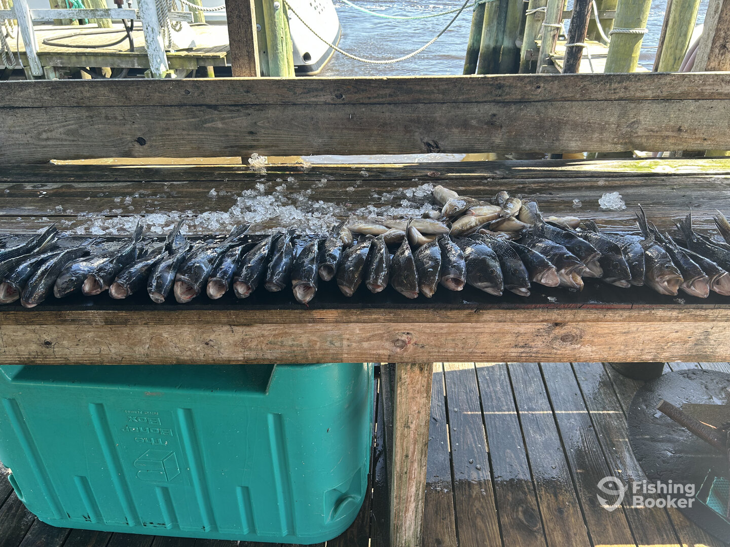 Little River Report Photo 0