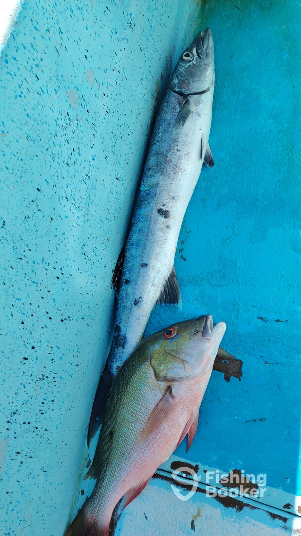 Mahahual Report Photo 0