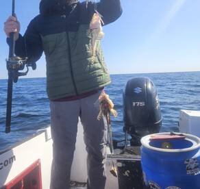 First trip of the year ! Fish were seen!