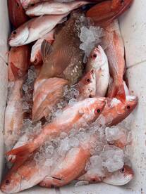 Box Full… want to get yours? 