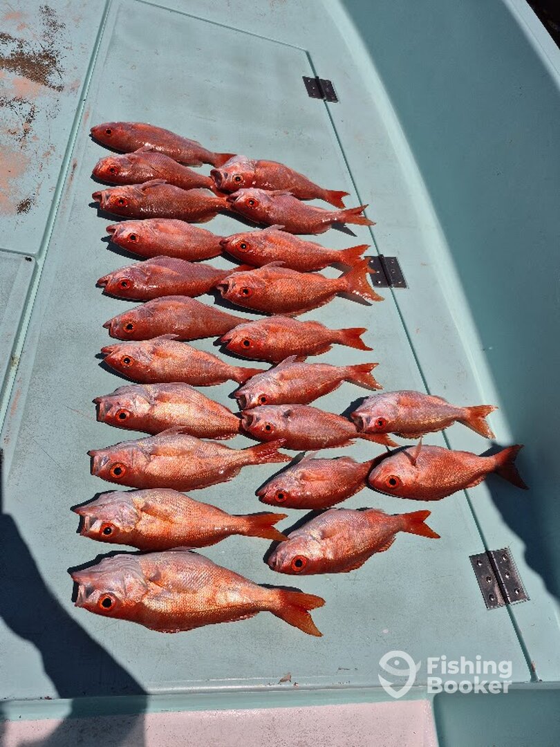 Destin Report Photo 0