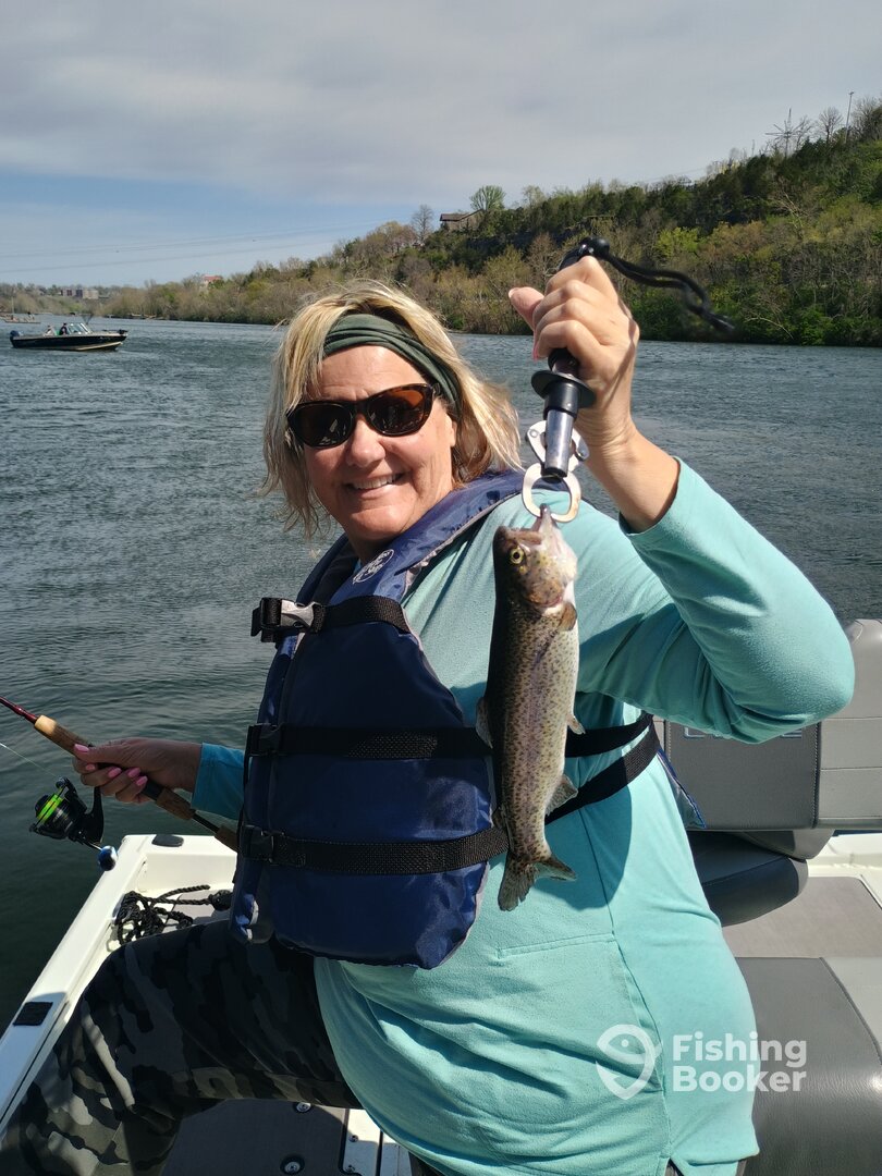 Branson Report Photo 0