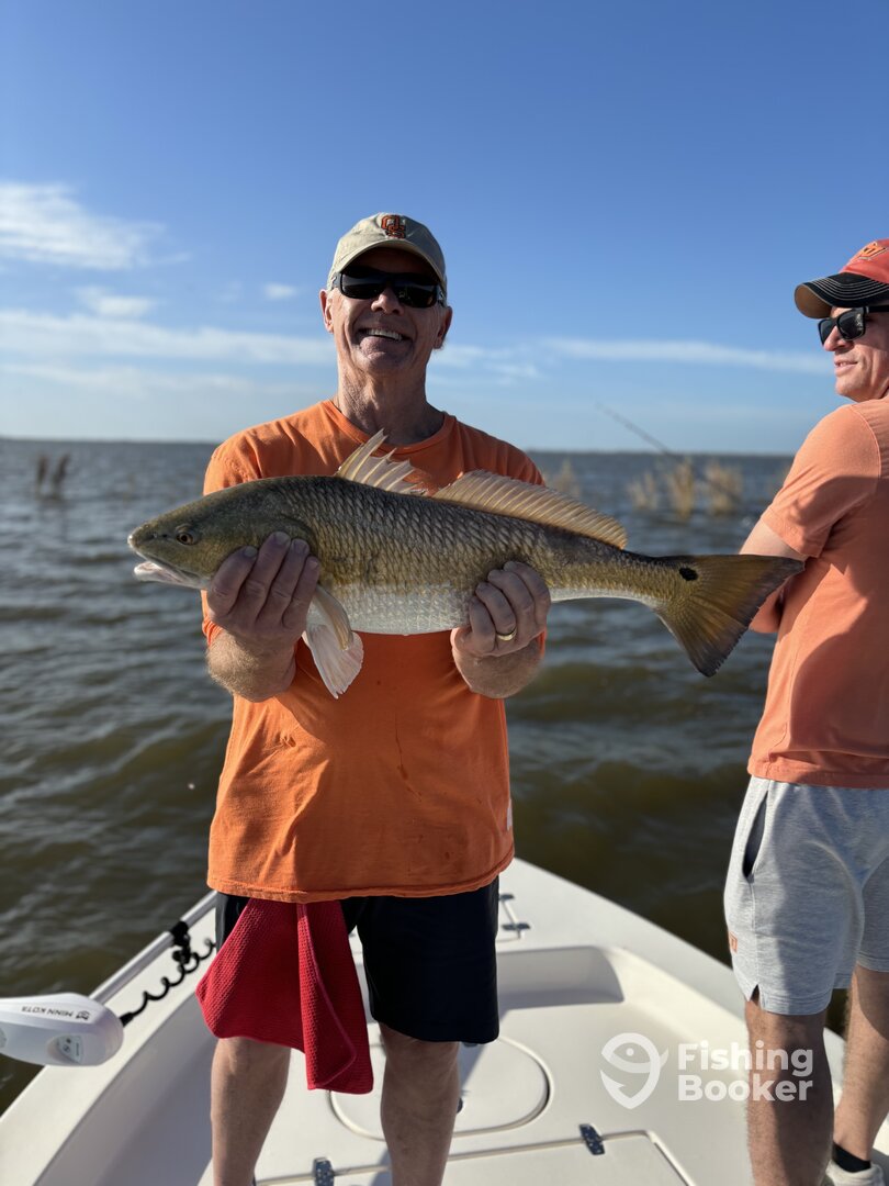 Venice Report Photo 0