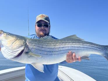 Dennis Report Photo 2