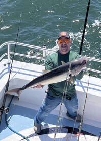 Orange Beach Report Photo 2