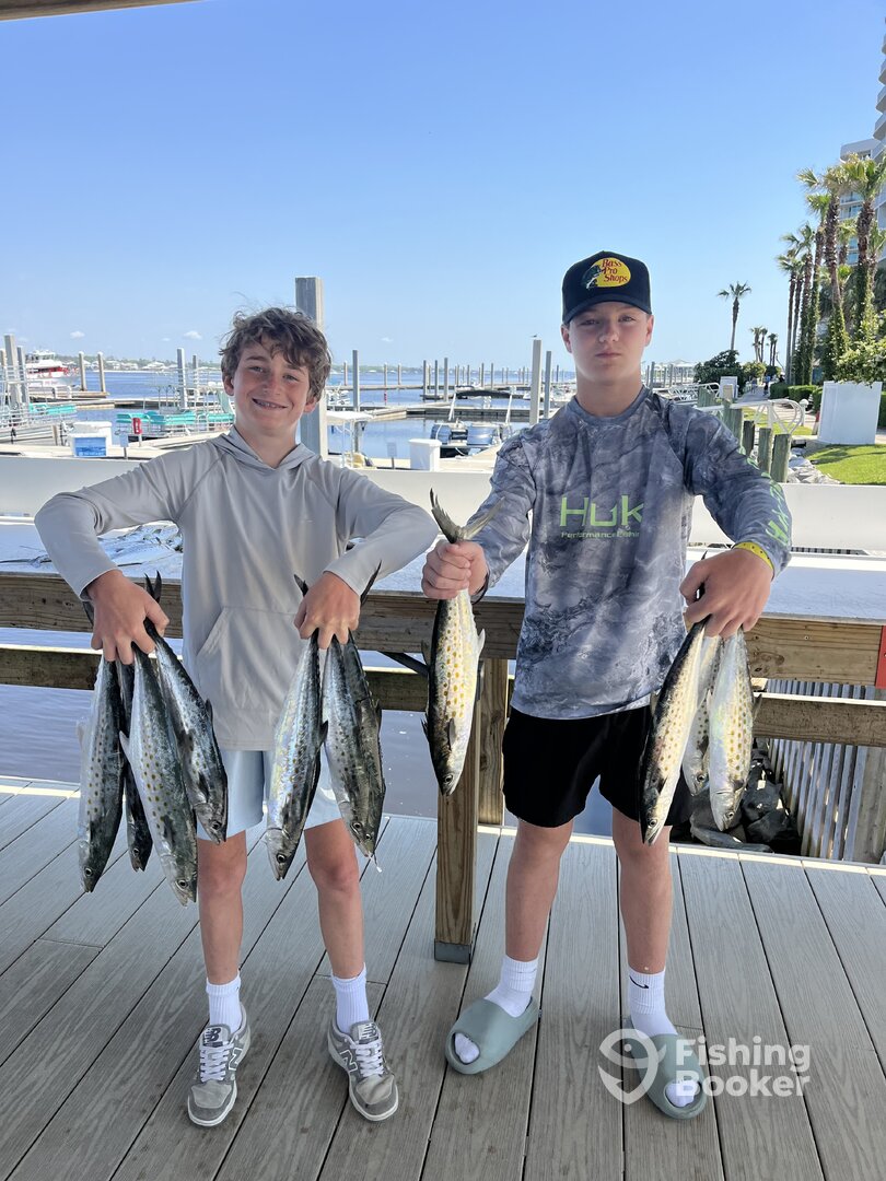 Orange Beach Report Photo 0