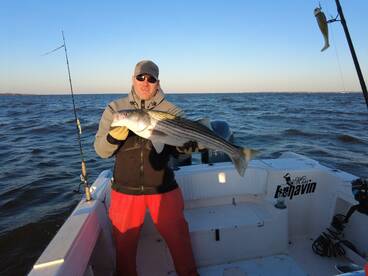 Woodbridge Township Report Photo 2