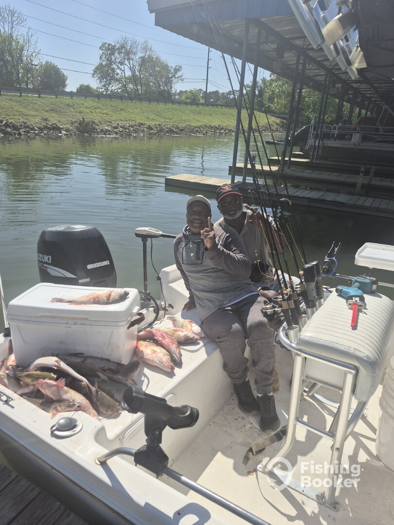 Willis Report Photo 0