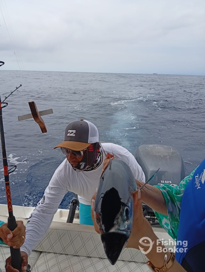 Cartagena Report Photo 0