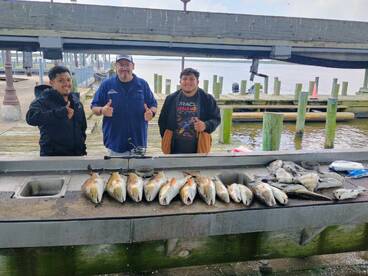 Sunny days and boxes of fish