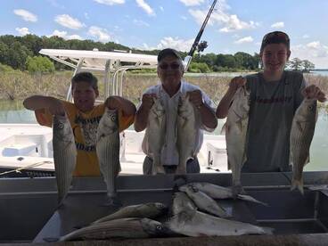 Quinlan Report Photo 2