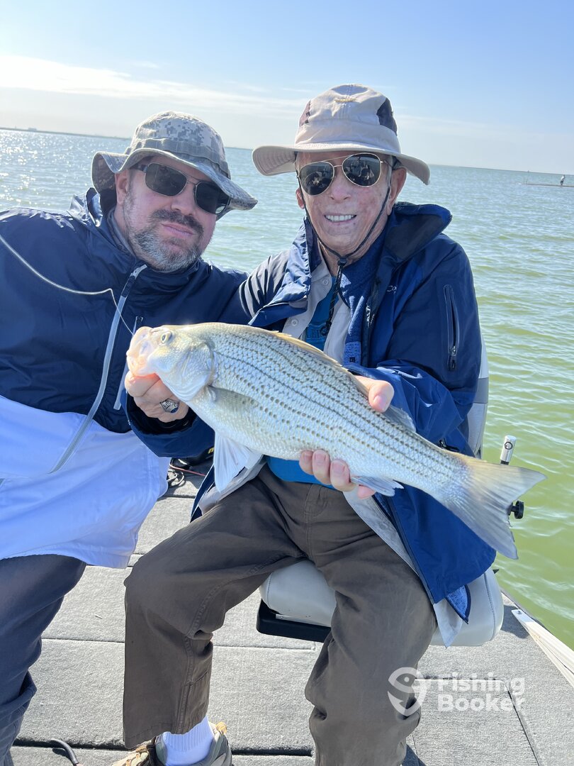 Lake Dallas Report Photo 0