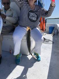 Bonita Springs Report Photo 1