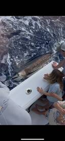 Morning half day Blue marlin!