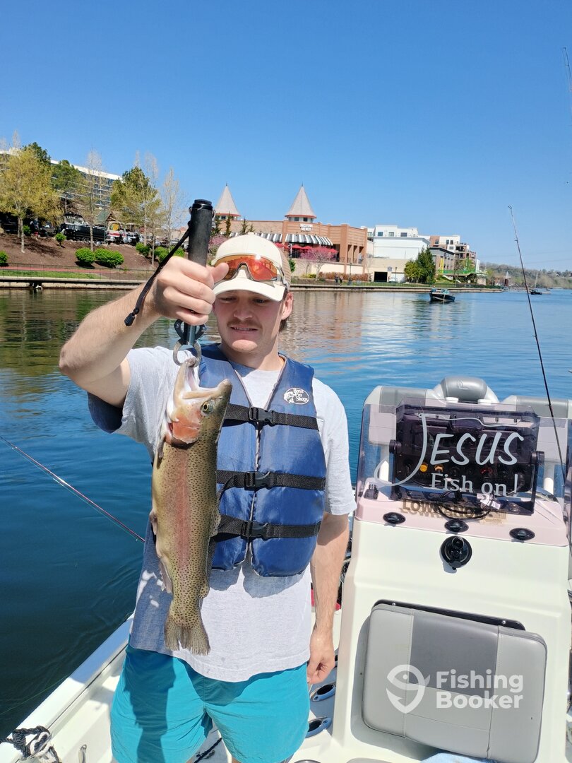 Branson Report Photo 0