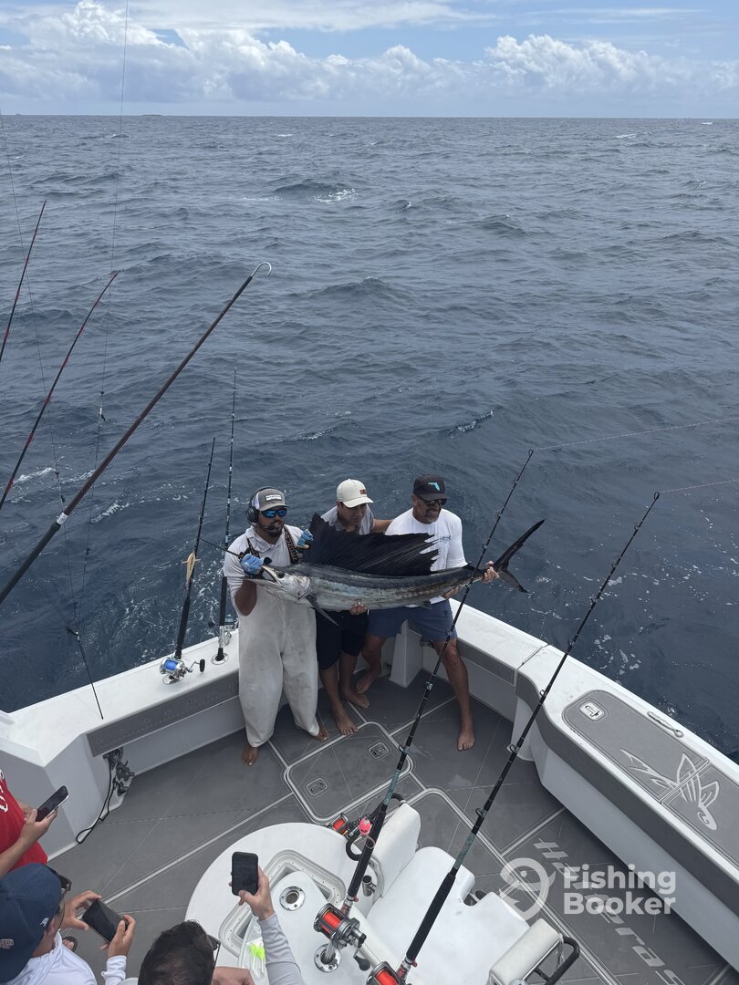 Miami Beach Report Photo 0