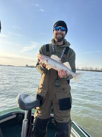 Detroit Report Photo 2