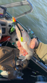 Detroit Report Photo 1