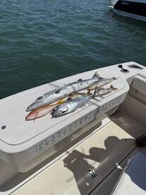 West Palm Beach Report Photo 2