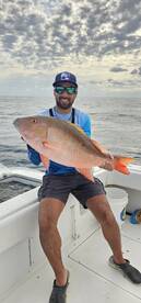 Miami Beach Report Photo 1