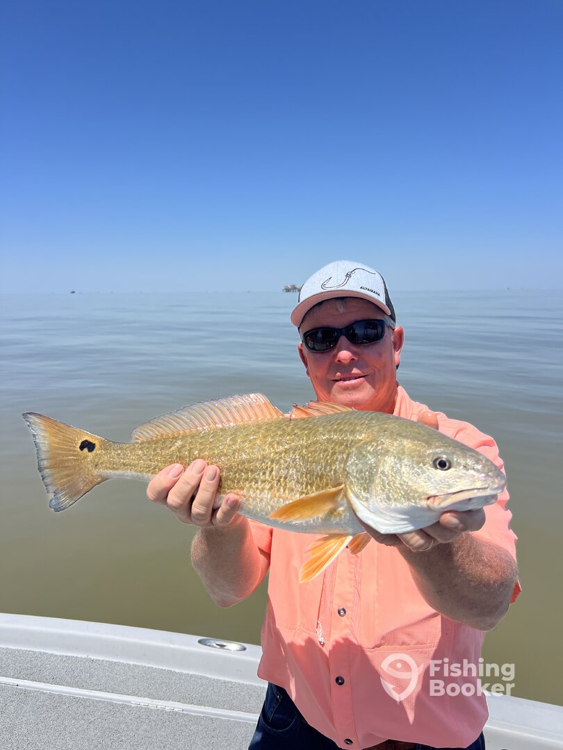 Venice Report Photo 0