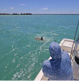 Islamorada Report Photo 2