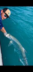 Key West Report Photo 1