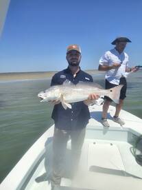 Corpus Christi Report Photo 1