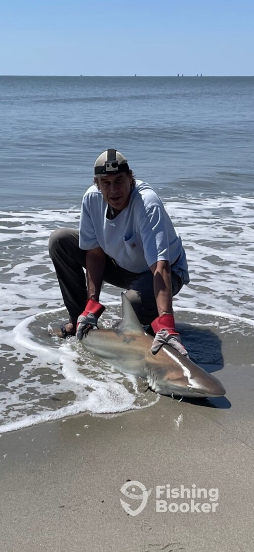 West Palm Beach Report Photo 0