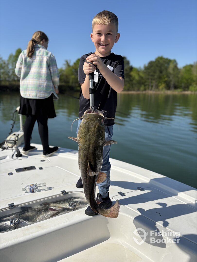 Townville Report Photo 0