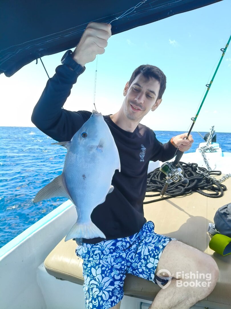 Playa Del Carmen Report Photo 0