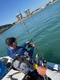 New Smyrna Beach Report Photo 2