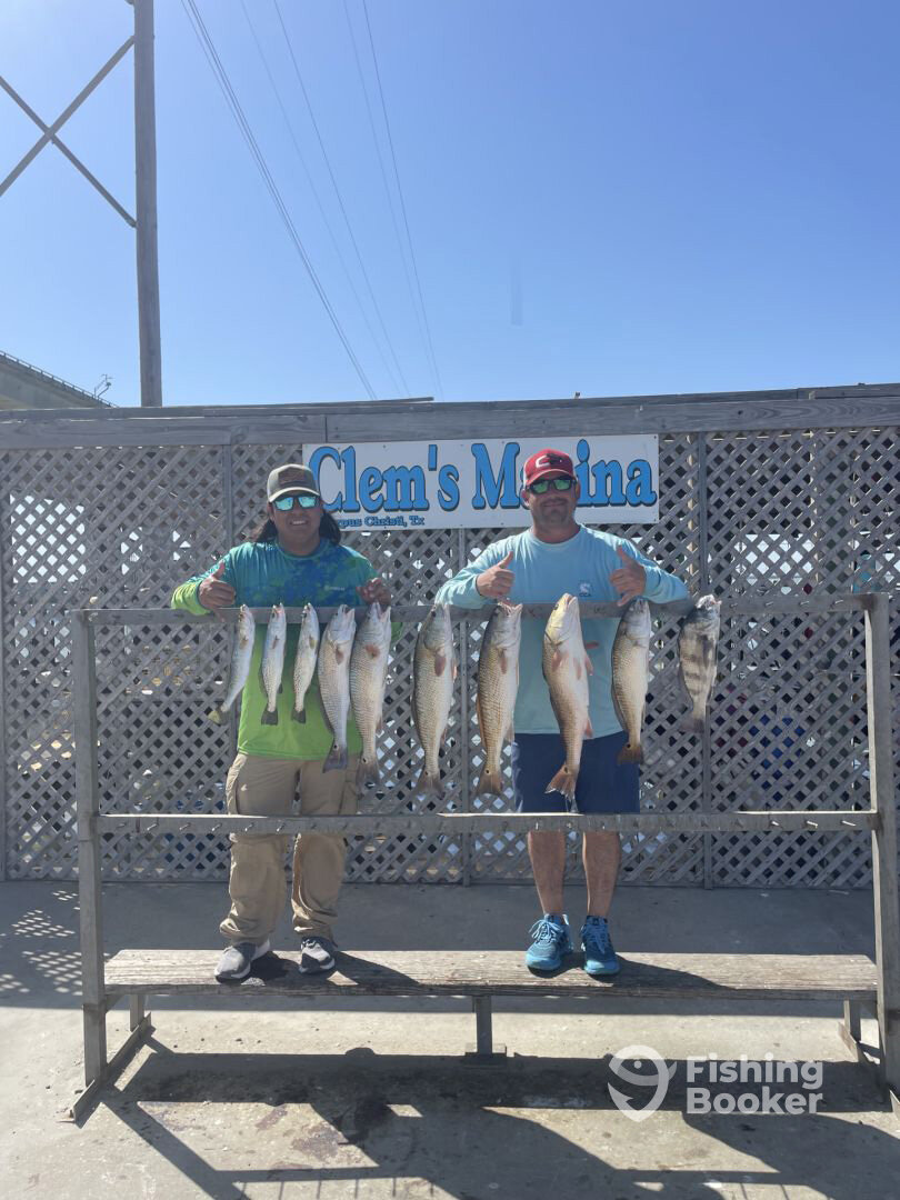 Corpus Christi Report Photo 0