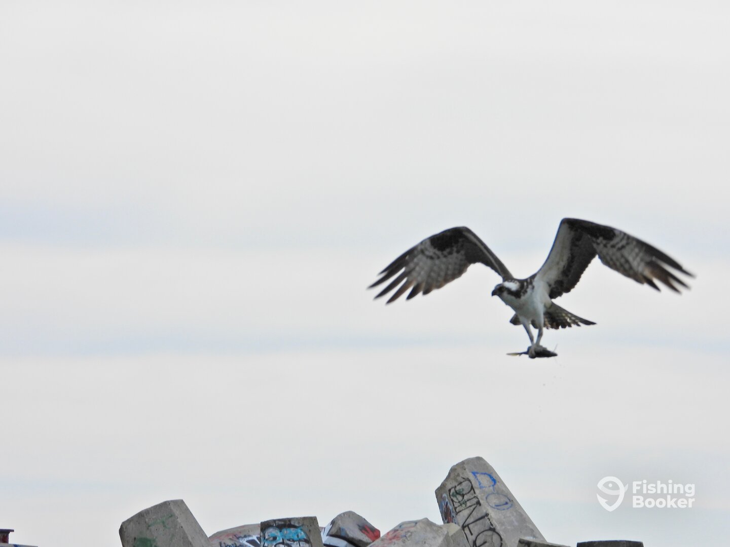 Brick Township Report Photo 0