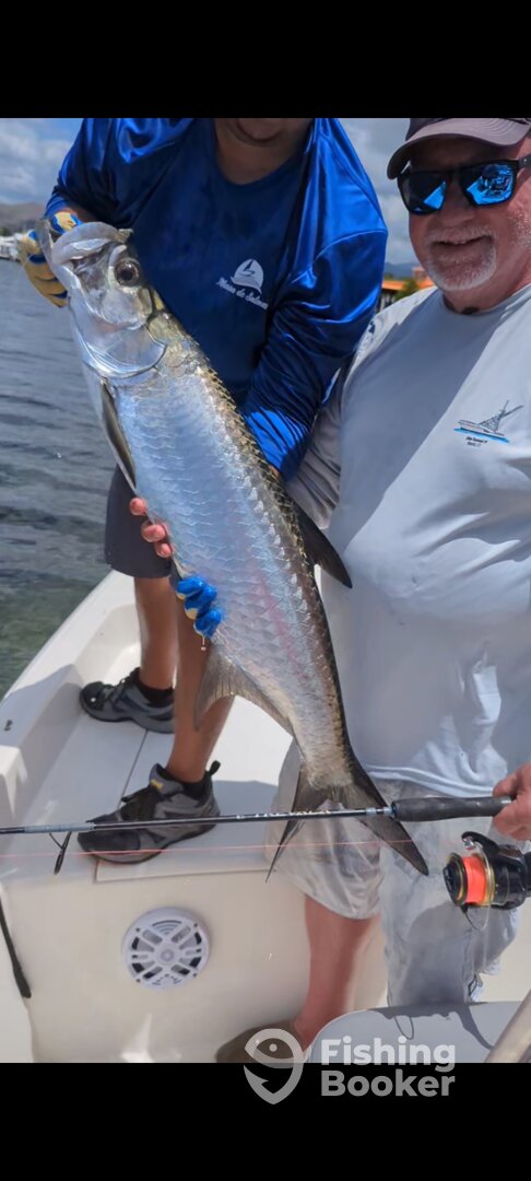 Salinas Report Photo 0