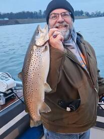  Lake trout and  brown trout  action  i