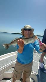 Belleair Bluffs Report Photo 1