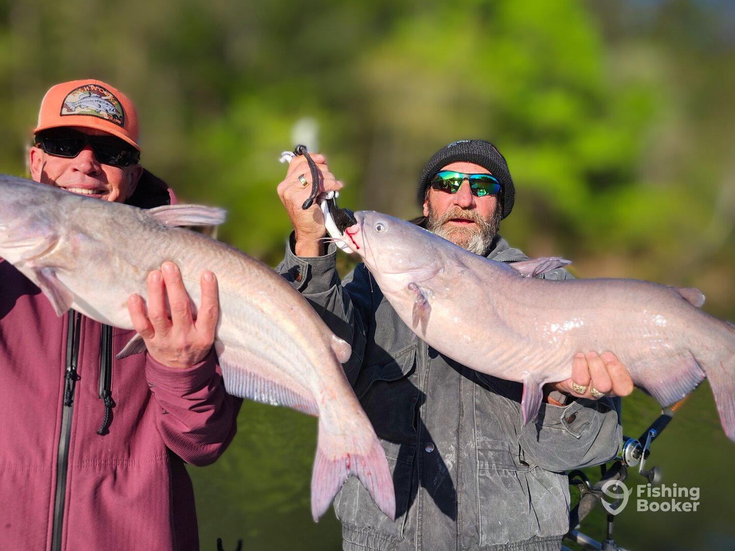 Multiple Double Hook-up's today 