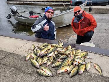 Just a nother day of perching