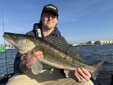 Amsterdam Report Photo 2