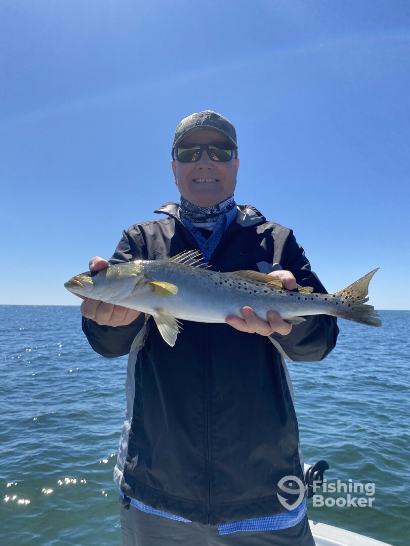 Crawfordville Report Photo 0