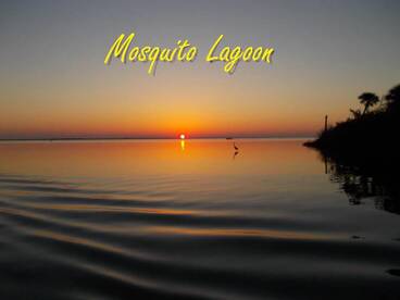 New Smyrna Beach Report Photo 2