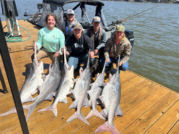 Gravois Mills Report Photo 2