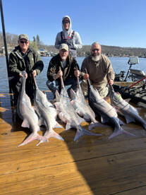 Gravois Mills Report Photo 1