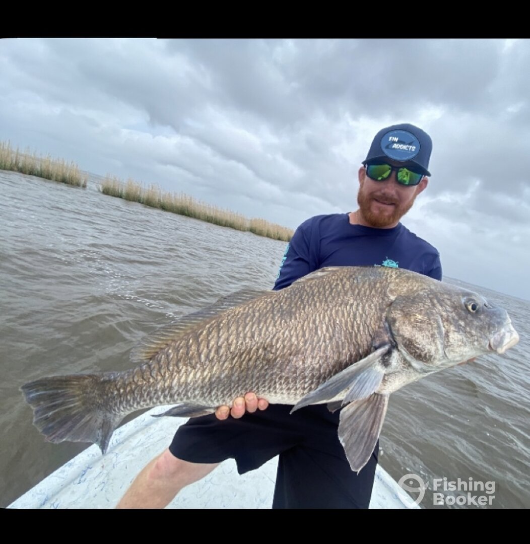 Pensacola Report Photo 0