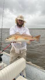 Pensacola Report Photo 1